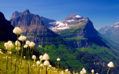 GlacierNatlPark1920x12006-21-2012 3_02_09 PM Bing Desktop